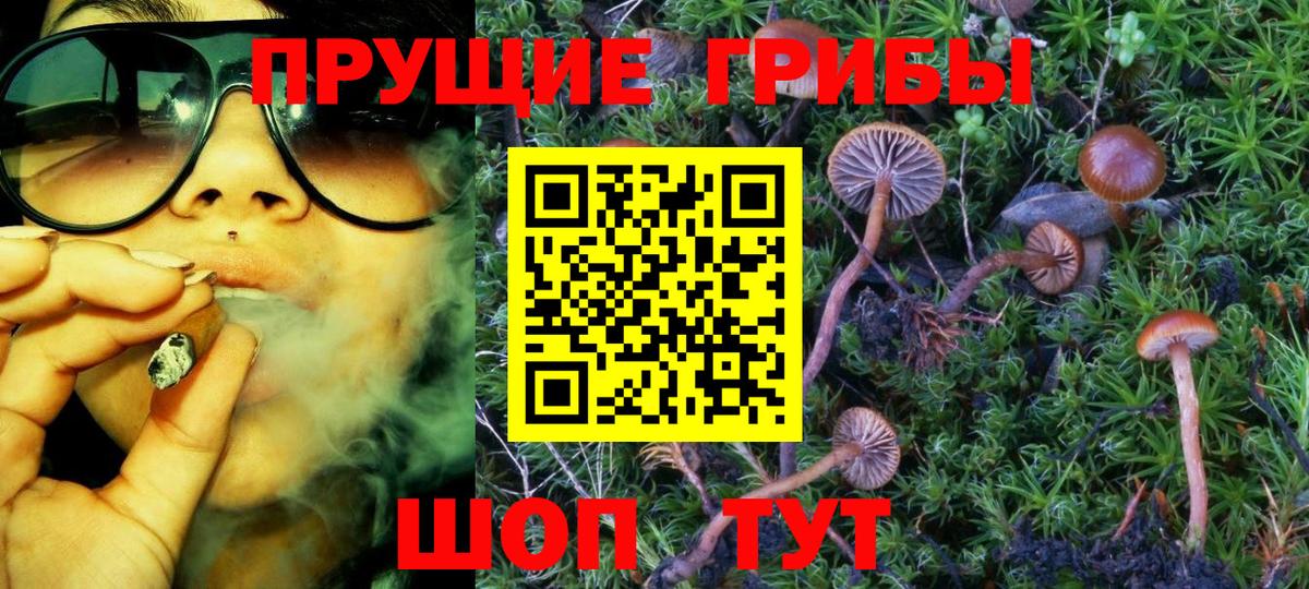 Псилоцибиновые грибы Cubensis Набережные Челны